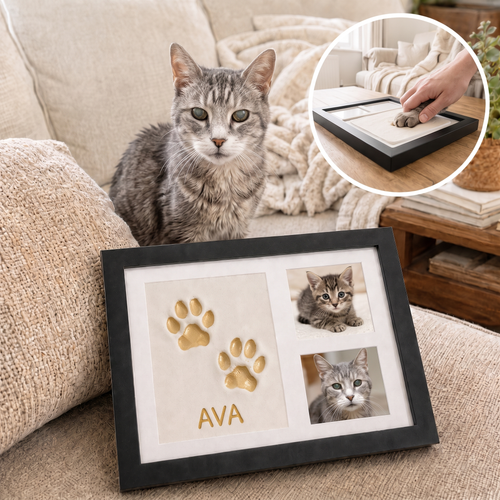Paw Print DIY Kit